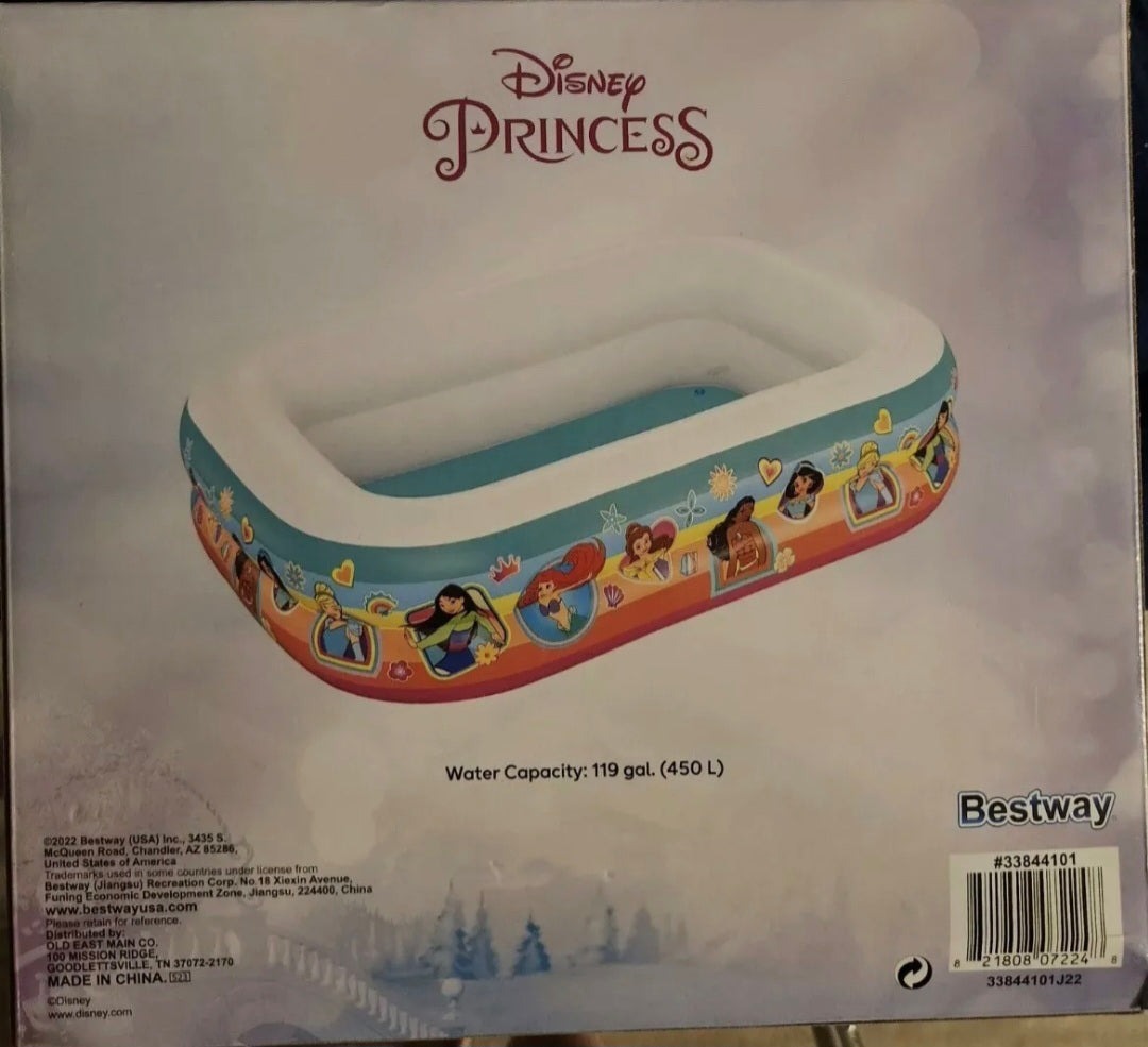 Disney Princess family pool