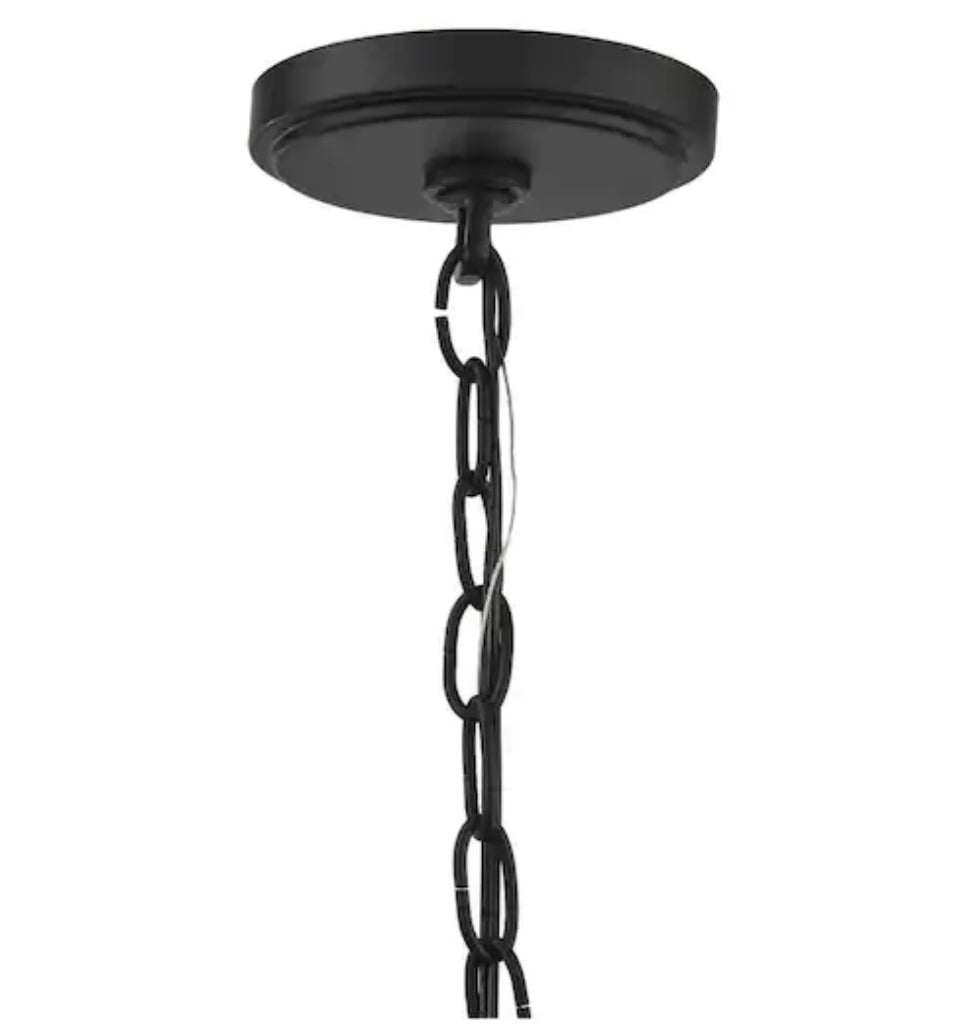 Bainbridge 24 in. 5-Light Black Outdoor Urban Industrial Chandelier with Clear Seeded Glass Shades