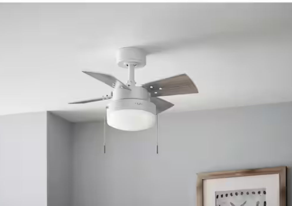 Metarie II 24 in. Indoor Matte White Ceiling Fan with Light