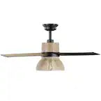 Savannah 52 in. Indoor LED Matte Black Dry Rated Ceiling Fan with 4 Reversible Blades, Light Kit and Remote Control