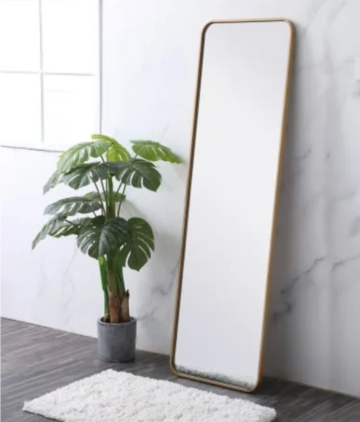 Elegant Lighting Evermore 18" W x 60" H Rectangular Framed Bathroom Wall Mirror